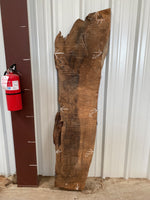 Turkish Walnut Live Edge Slab