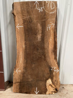 Turkish Walnut Live Edge Slab