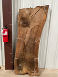 Turkish Walnut Live Edge Slab