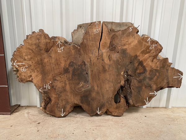 Turkish Walnut Live Edge Slab