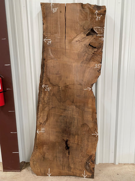 Turkish Walnut Live Edge Slab