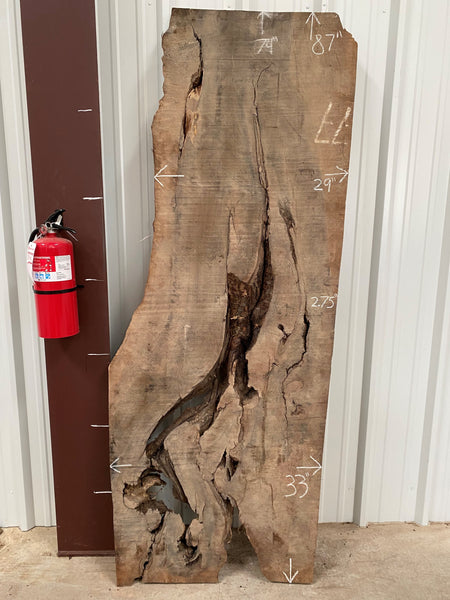 Turkish Walnut Live Edge Slab