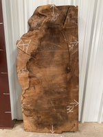 Turkish Walnut Live Edge Slab