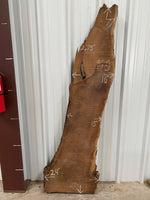 Turkish Walnut Live Edge Slab